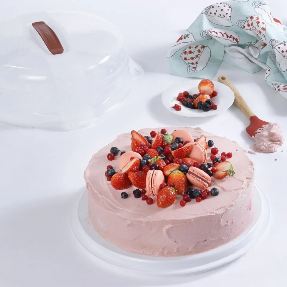 CURVER Round Cake Box Carrier Log cake Rectangle Long Cake Box