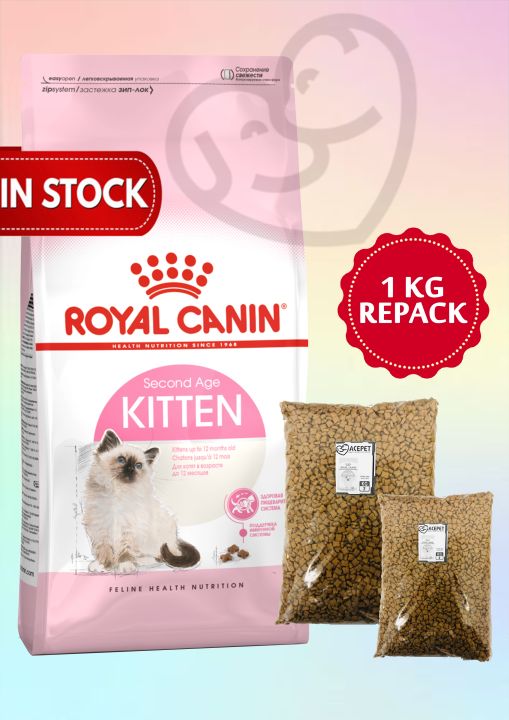 Kitten 36 best sale