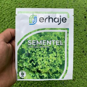 Sementel Benih selada batavia bejo seed 1000 pills