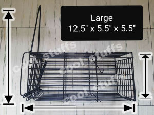 rat trap mouse trap heavy duty for large sized rats THE ORIGINAL