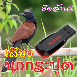 เสียงต่อนกกระปูด เมมเสียงนกกระปูด แฟลชไดร์ฟเสียงต่อนกกระปูด มีเก็บเงินปลายทาง