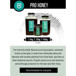 [SG] 100% Natural Honey / Pure Honey Organic Honey Raw Honey /Manuka Honey UMF 15 Equivalent/ Wild Honey Stingless Honey
