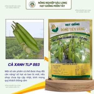 Gói 2G Hạt Giống Cà Xanh TLP893 – Hạt Giống Cà Xanh Dễ Trồng Sinh Trưởng Tốt