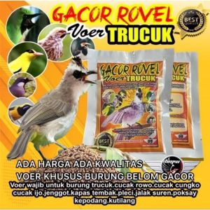 VOER GACOR ROVEL Pur Burung Trucuk Pakan Burung wajib untuk burung kesayangan anda
