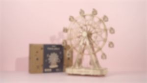 FCRobotime Ferris Wheel 3D wooden Puzzle Toys for children birthday TGN01