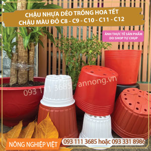 1kg Chậu nhựa đỏ/đen C10 - Chậu Trồng Vạn Thọ 2 Gốc 3 Gốc Chậu nhựa trồng cây Chậu mũ đen