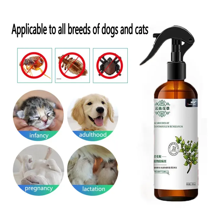 Dog licked store pest control spray