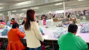 2024 Children's Clothing: All-Match & Cute Duck Suits for Girls