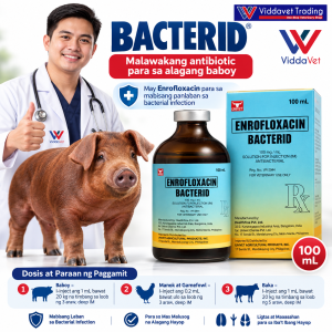 Viddavet Bacterid 100 ml Unahco Anti-bacterial for Pets and Livestock pigeon univet bacterid injectible antibiotic