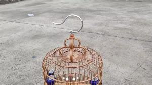 Bird Cage Budgie Cage Birdcage Birdcage DisplayCage Bird Trap Parrot Cage For Bird Guangzhou Style Ivory Collection High-end Large Size