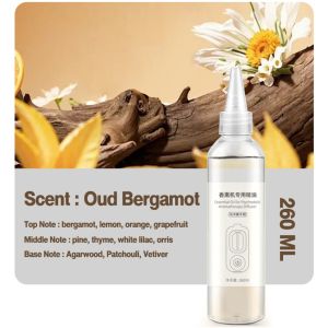 Wall-mounted Automatic Aromatherapy Machine Automatic Spray Diffuser Perfume Atomizer Rechargeable Fragrance Sprayer