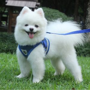 สายจูงแมวสุนัขเลก สายจูงสุนัข เชือกจูงแมว สายจูงสัตว์เลี้ยง สายคาดหน้าอกสัตว์เลี้ยง สายคาดหน้าอกสุนัขหมา ปลอกคอแมว