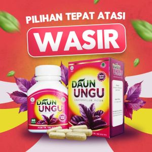 daun ungu obat wasir ampuh dan ambien BPOM