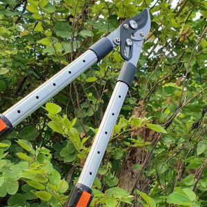 กรรไกรตัดกิ่งไม้ด้ามยาว กรรไกรตัดแต่งกิ่ง