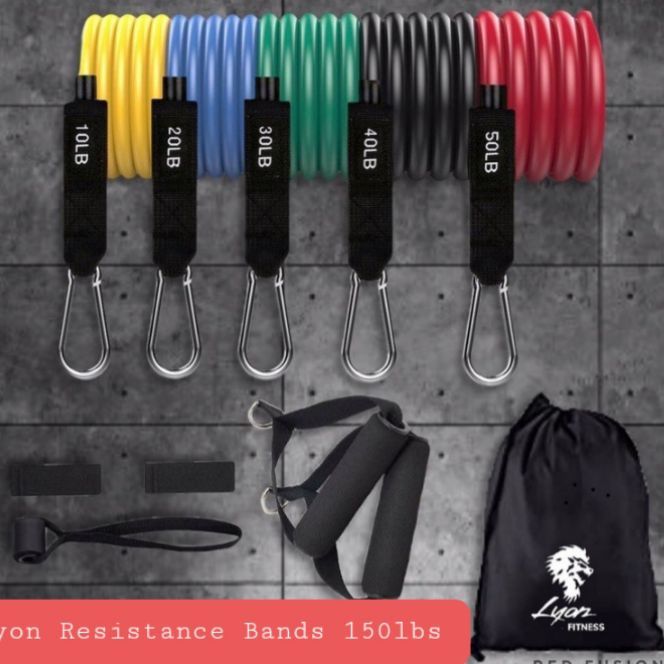 Lyon Fitness 11pc Resistance Band Set 150lbs with Free Jumprope