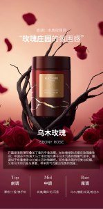 KNature by Kathwi 科净威 Car Air Freshener Diffuser AdjustableRemoves Odor FormaldehydeAntibacterial