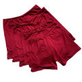 Colored 6pcs Plain Quality Cycling shorts for kids inner shorts undies boyleg 5-15yrs.old wholesale. 