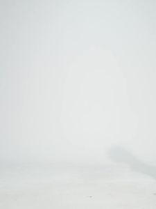 sucming No Embarrassment Line Yoga Pants Womens High Waist Belly Contracting Running Fitness Pants Hip Lifting Nude Feel Sports Ninth Pants D25037