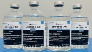 VETone LincoBac™ 300 - Nguyên seal USA[Chai 100ml] cho gà