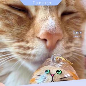Tumato 1 6pcs Capsule Toys Kawaii Transparent My Pets Fur Container Cat Hair Storage Box Hanging Cat Keychain Pendant Pet Hair Grooming Souvenirs Bag Hanging Decor
