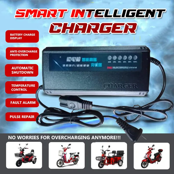 Nwow ebike online charger