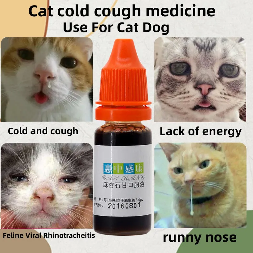 Remedy for hot sale cats cold