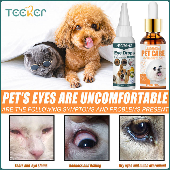 tear ducts shih tzu tear stain removal