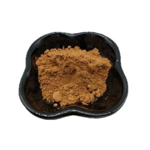 Zingiber Officinale Extract various specifications available upon inquiry food grade raw material water-soluble plant extract powder ready stock free shipping for 1kg