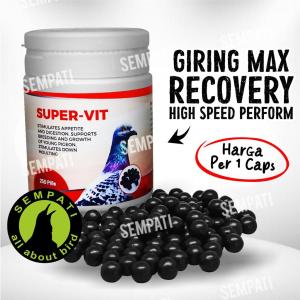 SEMPATI Livertrans Topsong Top Song Livertran Multivitamin Merpati Pil Burung Merpati Dara Puter Derkuku Livertrans Jamu Vitamin Obat Penguat Fungsi Hati LVRTRS