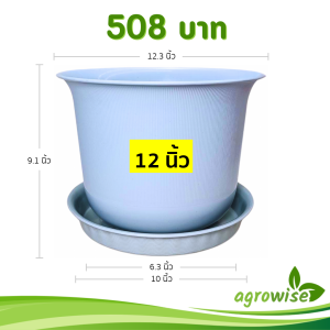 กระถาง กระถางต้นไม้ มินิมอล ถ้วยจีน+จาน ขนาด 12 นิ้ว สีฟ้าพาสเทล 5 ใบ ชิ้น อัน