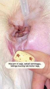 【Buy 2 get 1 free】clear  Ear Drop Ear Cleaning (60ml) Anti Ear Mites EarInfection Treatment Solution Odor Removal