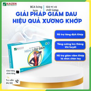Hou lou Dan viên uống tăng cường lưu thông khí huyết bcalivinghcm giảm tê bì chân tay đau mỏi xương khớp tốt