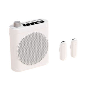 (HD1)M29 Wireless Microphone Voice Amplifier with Lapel Mic Bluetooth USB for Teaching Interview Guide