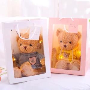 Christmas Gift Box Plush Teddy Bear Doll And String Lights (Wulala)