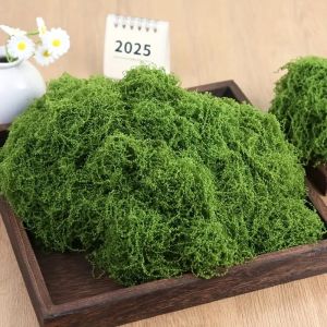 30/50g Artificial Moss Lawn Green Simulation Plant Home Garden Decoration