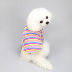 DGFDF Striped Design Pet Long Sleeve Shirt Rainbow Stretchable Dog Elastic Bottoming Fashion Breathable Dogs T-shirt Daily Wear