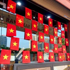 [2/9] Cờ Dây Sao Vàng 10m [20 Lá] Vải Phi Bóng Cao Cấp Chống Nắng Mưa - Trang Trí Lễ Tết Sự Kiện Quán Cafe Khu Dâ