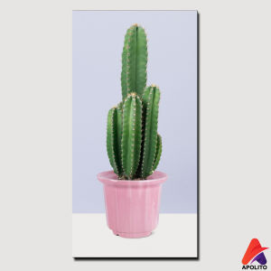 APOLITO HIASAN DINDING KAKTUS AESTHETIC (10X20) WALL DECOR HIASAN DINDING KAKTUS PAJANGAN KAYU KAKTUS WALLDECOR DEKORASI RUANGAN