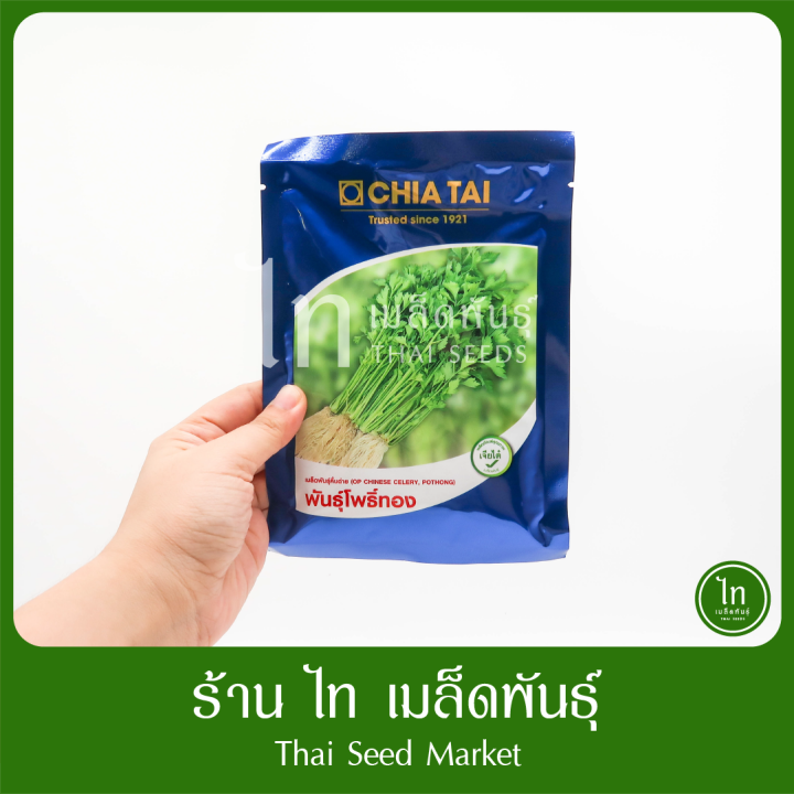 เมล็ดพันธุ์คื่นฉ่าย โพธิ์ทอง เจียไต๋ 50 กรัม สำหรับเกษตรกร