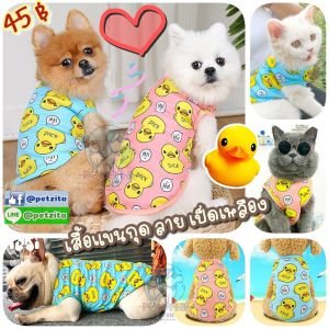 พร้อมส่งจร้า DUCK น้องเป็ดเหลือง เสื้อแขนกุด ใส่สบายมาก for pet เสื้อสุนัข หมา แมว