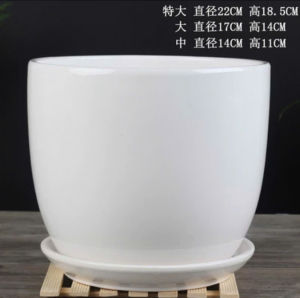 Chậu gốm sứ trồng cây size 20cm - kem đĩa đựng nước
