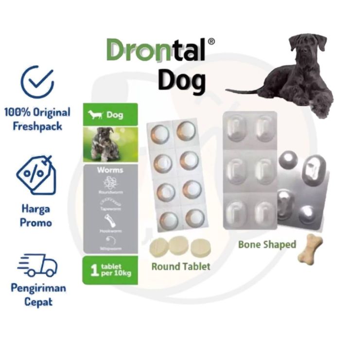 PERBIJI Drontal Dog Plus Tasty Obat Cacing Anjing Asli Original