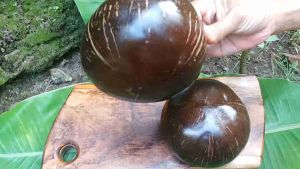 MANGKUK BATOK KELAPA CEPER TANPA KAKI