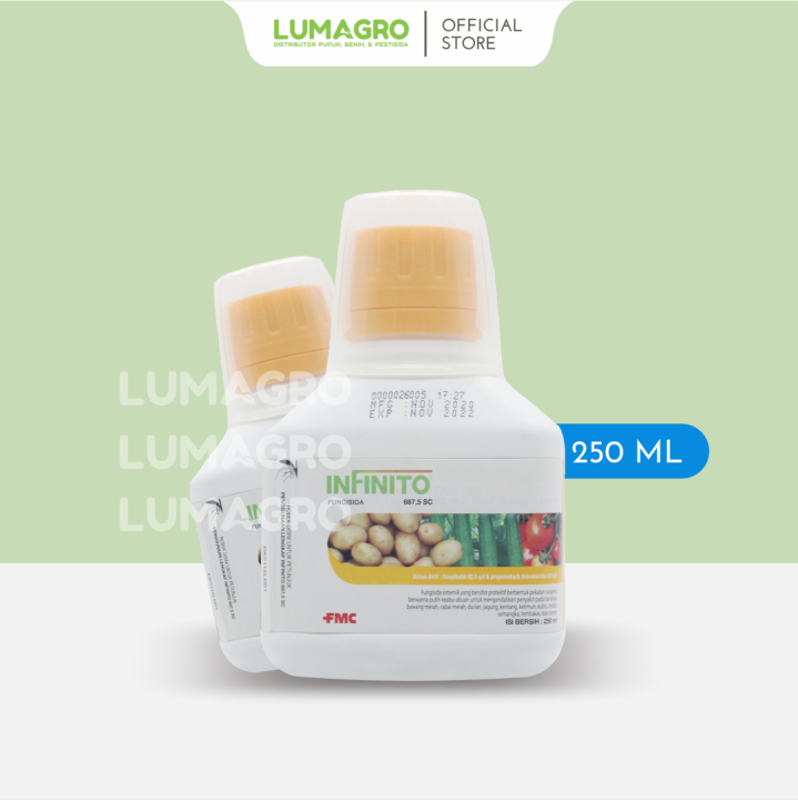 Svetaning ogzida azo