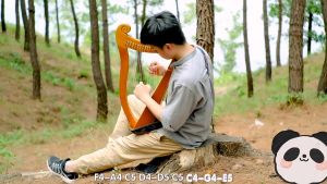 Small harp 15/19 string Mini Laiya piano beginner small lyre niche instrument easy to learn lyre pianoFast shipping