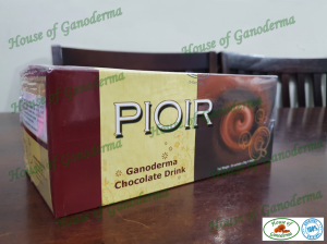 Gano iTouch Pioir Ganoderma Chocolate Drink (20 sachets per box)