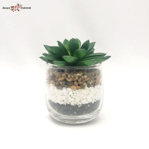 กุหลาบหินปลอม กระถางแคคตัสปลอม ต้นไม้ปลอมจิ๋วพร้อมกระถาง