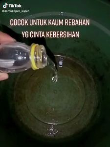GLOWING pembersih JAMUR BAK MANDI.DLL 105 ml .FREE TANGAN PLASTIK