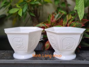 Bộ 02 Chậu Tùng Cúc 18x12cm Size Nhỏ Màu Trắng Trồng Hoa Xinh Xắn
