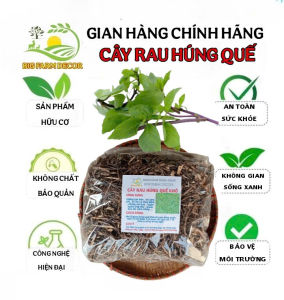 100g cây rau húng quế sấy khô